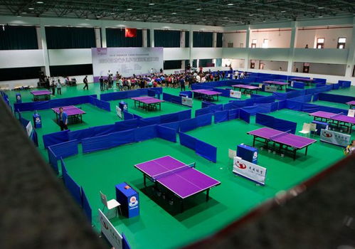 乒乓小将龙川竞技 2021年江苏省少儿乒乓球冠军赛开幕，网络竞技球掀起新热潮